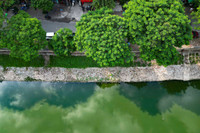 Cận cảnh đập dâng đầu tiên mang nguồn nước bổ cập mới cho sông Tô Lịch 