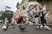 Cánh chim hòa bình tung cánh tuyệt đẹp trong sớm mùng 1 Tết Quý Mão giữa lòng Thủ đô