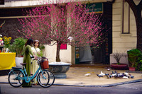 Cánh chim hòa bình tung cánh tuyệt đẹp trong sớm mùng 1 Tết Quý Mão giữa lòng Thủ đô