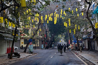 Cánh chim hòa bình tung cánh tuyệt đẹp trong sớm mùng 1 Tết Quý Mão giữa lòng Thủ đô