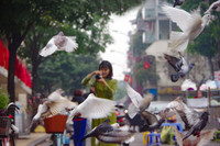 Cánh chim hòa bình tung cánh tuyệt đẹp trong sớm mùng 1 Tết Quý Mão giữa lòng Thủ đô