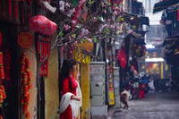 Cánh chim hòa bình tung cánh tuyệt đẹp trong sớm mùng 1 Tết Quý Mão giữa lòng Thủ đô