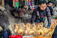 Xếp hàng chờ mua gà ngậm hoa hồng tại 