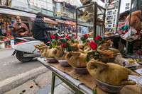 Xếp hàng chờ mua gà ngậm hoa hồng tại 