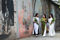 Khúc giao mùa đẹp tinh khôi khi hoa loa kèn xuống phố Hà Thành