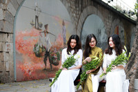 Khúc giao mùa đẹp tinh khôi khi hoa loa kèn xuống phố Hà Thành