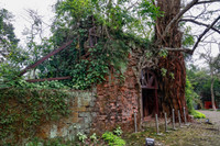 Ngắm phố đi bộ sắp hoạt động đẹp như tranh bên thành cổ đá ong ở Hà Nội