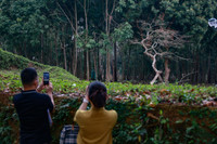 Ngắm phố đi bộ sắp hoạt động đẹp như tranh bên thành cổ đá ong ở Hà Nội