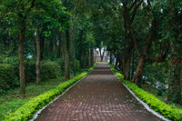 Ngắm phố đi bộ sắp hoạt động đẹp như tranh bên thành cổ đá ong ở Hà Nội