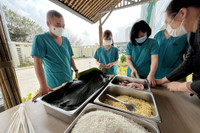 Nồi bánh chưng ấm áp của các 