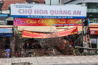 Hoa đào tươi thắm mang Xuân về phố phường Hà Nội bất chấp Covid-19