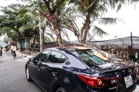 Hoa đào tươi thắm mang Xuân về phố phường Hà Nội bất chấp Covid-19