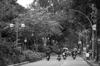 Lãng đãng chiều đông Hà Nội qua các bức ảnh đen trắng giàu cảm xúc