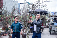 Ngắm hoa rừng tiền triệu mang tết sớm xuống phố Hà Nội