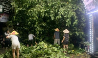 Hà Nội: Cơn mưa giông lớn quật đổ cây xanh, cuốn phăng nhiều mái tôn