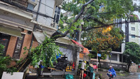 Hà Nội: Cơn mưa giông lớn quật đổ cây xanh, cuốn phăng nhiều mái tôn