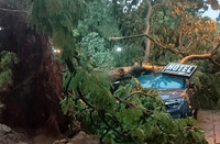 Hà Nội: Cơn mưa giông lớn quật đổ cây xanh, cuốn phăng nhiều mái tôn