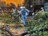 Hà Nội: Cơn mưa giông lớn quật đổ cây xanh, cuốn phăng nhiều mái tôn