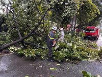 Hà Nội: Cơn mưa giông lớn quật đổ cây xanh, cuốn phăng nhiều mái tôn