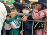 Người hâm mộ nghẹt thở chen nhau mua vé xem U23 Việt Nam