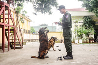 Tận mắt xem hoạt động của đơn vị chiến đấu đặc biệt Trung đoàn CSCĐ CATP Hà Nội 