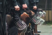 Tận mắt xem hoạt động của đơn vị chiến đấu đặc biệt Trung đoàn CSCĐ CATP Hà Nội 