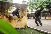 Tận mắt xem hoạt động của đơn vị chiến đấu đặc biệt Trung đoàn CSCĐ CATP Hà Nội 