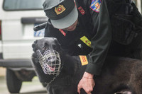 Tận mắt xem hoạt động của đơn vị chiến đấu đặc biệt Trung đoàn CSCĐ CATP Hà Nội 