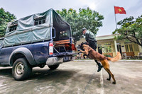 Tận mắt xem hoạt động của đơn vị chiến đấu đặc biệt Trung đoàn CSCĐ CATP Hà Nội 