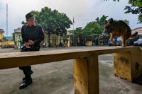 Tận mắt xem hoạt động của đơn vị chiến đấu đặc biệt Trung đoàn CSCĐ CATP Hà Nội 