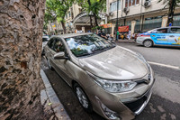 Cần xử lý dứt điểm tình trạng 