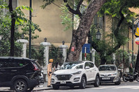 Cần xử lý dứt điểm tình trạng 