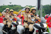 Ấn tượng màn trình diễn của những 