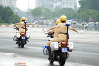 Ấn tượng màn trình diễn của những 