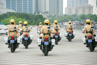 Ấn tượng màn trình diễn của những 