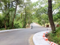 Cây bồ đề linh thiêng ở Nghĩa trang Trường Sơn