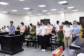 Giám đốc sản xuất gần 13 triệu sản phẩm bảo vệ sức khỏe giả lĩnh án tù khiêm khắc