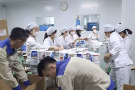 29 bị can trong vụ sản xuất, buôn bán hàng trăm nghìn hộp sữa giả dành cho trẻ sơ sinh và “bà bầu” bị truy tố