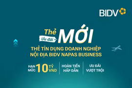 BIDV Napas Business - giải pháp thanh toán hiệu quả của doanh nghiệp