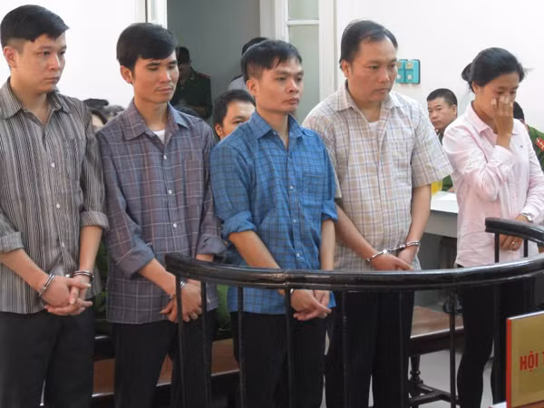 Liên tục thành lập doanh nghiệp để lừa đảo ảnh 1