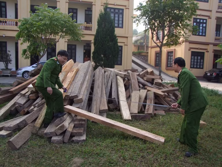 Thu giữ 2 mét khối gỗ lậu ảnh 1