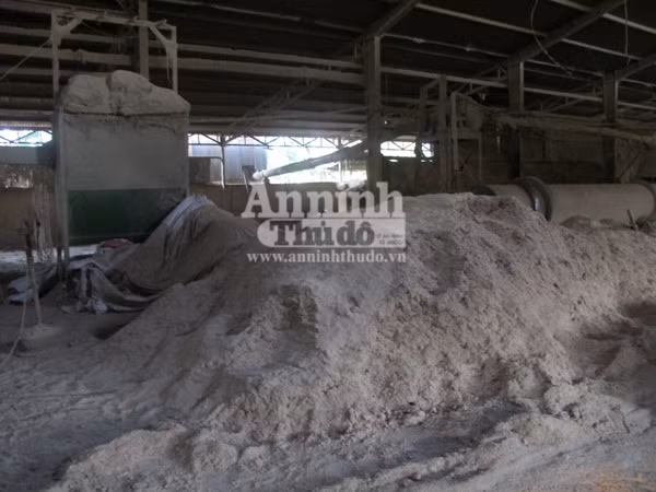 Đắk Lắk: Xưởng gỗ độc hại ngay giữa khu dân cư, liền trường học ảnh 2