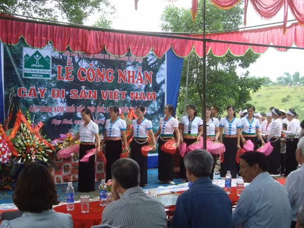 “Thần hộ mệnh” ở Suối Cốc ảnh 2