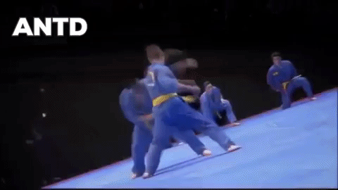 Vovinam-Niềm tự hào võ thuật thể thao dân tộc Việt Nam khiến bạn bè quốc tế kính nể