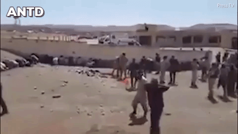 Những phần tử IS còn lại vẫn chiến đấu điên cuồng chống lại quân chính phủ. Cuộc chiến ở al-al-Ayadieh sẽ còn rất cam go và khó khăn hơn rất nhiều so với trận chiến ở thành cổ Mosul hồi tháng trước bởi các tay súng IS và gia đình đang dồn hết về khu vực này sau khi các thành trì của chúng bị thất thủ hàng loạt.