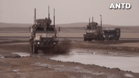 Xe kháng mìn Cougar HE của Mỹ Xe kháng mìn Cougar HE của Mỹ