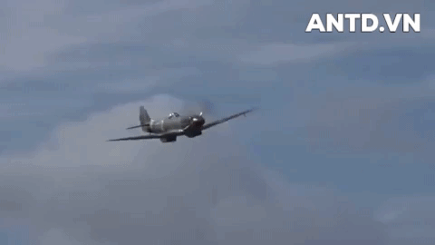 Tiêm kích Supermarine Spitfire