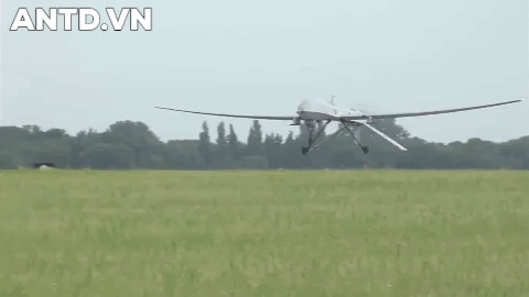 Máy bay không người lái MQ-1 Predator