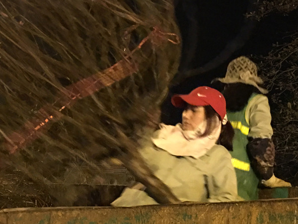 Cả nước hân hoan đón mừng năm mới Bính Thân 2016 ảnh 56