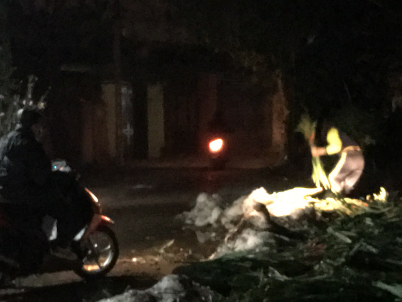 Cả nước hân hoan đón mừng năm mới Bính Thân 2016 ảnh 109